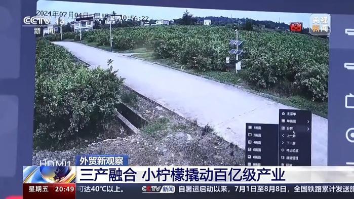 从“铬矿”和“柠檬”的进出口 看西部陆海新通道的赋能之路